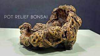 Ide Kreatif Cara Membuat Pot Bonsai Relief Modal Dikit