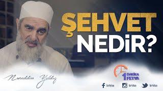 Şehvet Nedir? | [ Birfetva - Nureddin Yıldız ]