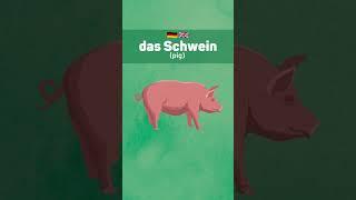 #Deutschlernen, #DeutschPrüfung, and #GoetheZertifikat.