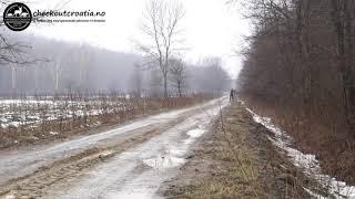 Drivjakt Villsvin Kroatia / Driven Wild Boar Hunting Croatia - 24