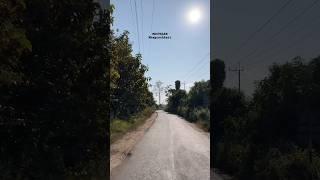 @MACVELER #viral #GLT #art #music #sajek #khagrachori #hiking #mountains #traveller #song #natura