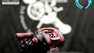 Daiwa Zillion SV TW BFS setup