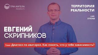 Территория реальности (Live) | Евгений Скрипников - Диагноз по аватарке