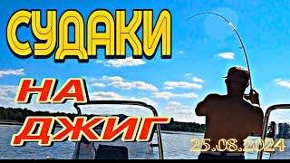 КАК ЛОВИТЬ СУДАКА НА ДЖИГ. РАБОЧИЕ ПРИМАНКИ. РЫБАЛКА 24-25.08.2024. Продолжение.