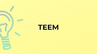 What is the meaning of the word TEEM?