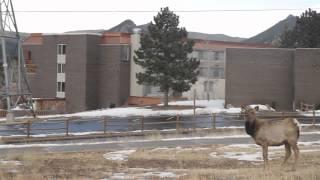 Rocky Mountain Park Inn in Estes Park, Colorado