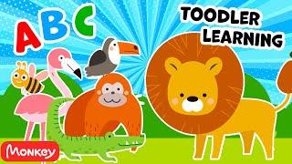 Hakuna Matata More and More  Let's Dance Together | Monkey Junior Play & Learn