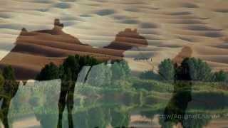 Midnight At The Oasis - Maria Muldaur