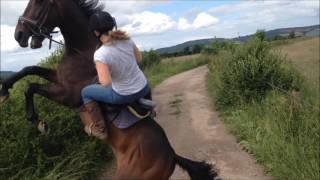 Hesteyrical Bloopers