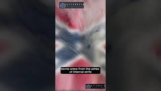 Civil War Chronicles: Examining Conflicts Within Nations