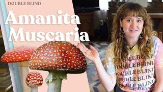 Amanita Muscaria Mushroom  | DoubleBlind