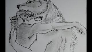 Как нарисовать волка карандашом скетч How to draw a wolf sketch Нарисовать волк карандаш зарисовка