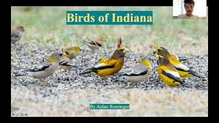 Birds of Indiana with Aidan Rominger