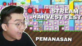 HARVEST FEST GACHA TIPIS" PEMANASAN | LIVE STREAM GROWTOPIA 2024