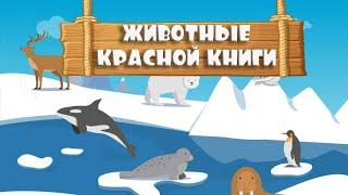 Развивающие мультики для детей про животных из красной книги.  ТуттиМульти (TuttiMulti)