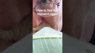 Click lower right corner for complete wide‐screen episode on my fun but factual Nature Ed channel!
