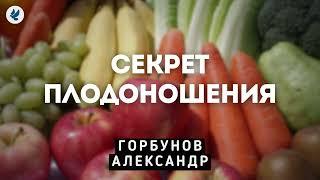 Секрет плодоношения. Горбунов А.И. Проповедь МСЦ ЕХБ