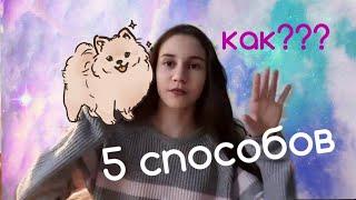 Как уговорить родителей купить собаку?!/5 способов