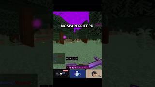 Я ВЫЗВАЛ ЭТОГО ЧИТЕРА НА ПРОВЕРКУ ReallyWorld SparkGrief #minecraft #reallyworld