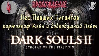 #4 / Dark Souls 2 SotFS / Лес Павших Гигантов _ картограф Кейл и добродушный Пейт