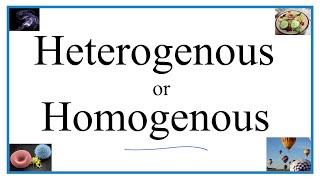 Heterogenous vs Homogenous (Definitions, Examples, & Practice)