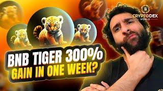 Baby BNB Tiger 300% Gains! You Shouldn't Miss this News!