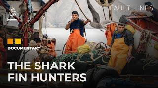 Tracking One of the World’s Bloodiest Trades: The Shark Fin Hunters | Fault Lines Documentary