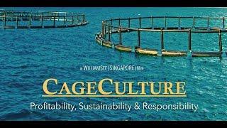 CAGE CULTURE - An Aquaculture Documentary