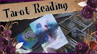 It Is Not Willpower That You Need ⭐ Tarot and Oracle Reading