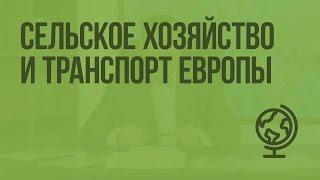 Сельское хозяйство и транспорт Европы. Видеоурок по географии 10 класс