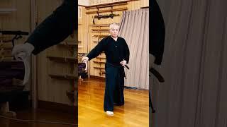 If Kenshin Trained Iaido