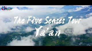 The Five Senses Tour - Ya'an, Sichuan, China