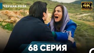 Чёрная роза 68 Серия Kороткий | 4K