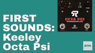 Keeley Octa Psi Fuzz // FIRST SOUNDS // NO TALKING