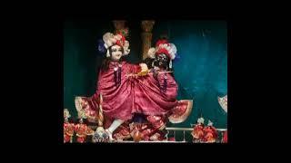 Today's Mangla Arti Darshan of ISKCON Punjabi Bagh, New Delhi #iskcon#krishnaconsiousness