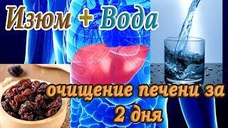 Очищение печениИзюм и вода, очищение печени за 2 дняПеченьКак пить правильно отвар из изюма