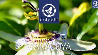 Maracuya (Passiflora edulis) | Essential-Oil-Plant Portrait by Dr. Malte Hozzel