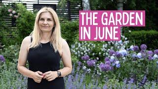A Fragrant Walk Through My June Garden | Garden with Marta