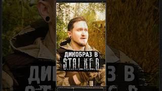 ДИКОБРАЗ В S.T.A.L.K.E.R. #shorts #игрв #stalker #stalker2