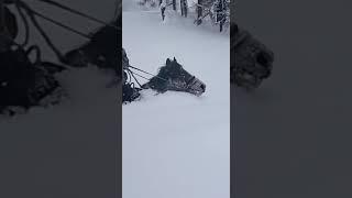 Обещал соседке снег почистить.