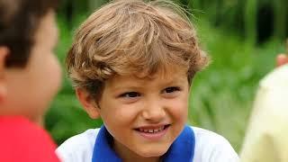 Chapter 4 - Self-Regulation and Sensory Processing - The Sensory Coach