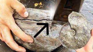 Golden Suture Fossil! Cracking Rocks For Ammonites! | Fossil Hunter