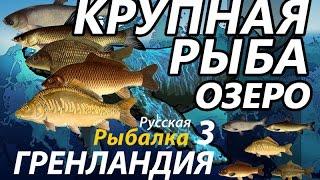 Крупная рыба Озеро / РР3 [Русская Рыбалка 3 Гренландия]