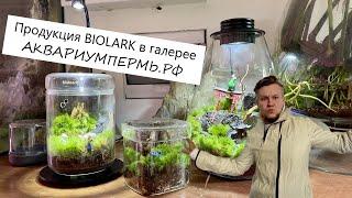 Собираем и оформляем мини террариумы для растений Biolark от МИКРОКОСМ в галерее АКВАРИУМПЕРМЬ.РФ