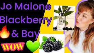  Jo Malone Blackberry & Bay  обзор  Джо Малоне Ежевика и Имбирь, что за чудо чудное?