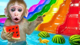 KiKi Monkey play Colorful Waterslide at Watermelon Swimming Pool with Ducklings | KUDO ANIMAL KIKI