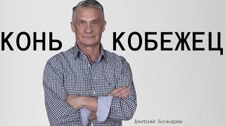 Дмитрий Бочкарев: в спорте самое трудное - это ждать