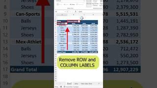 Remove ROW/COLUMN LABELS in pivot table