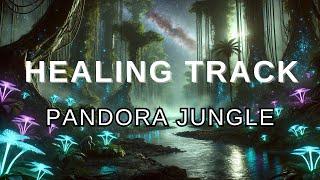 Pandora's Jungle| 2hours | Study | Improved Concentration | motivation | rainy | 빗소리 | 공부 | 집중력강화