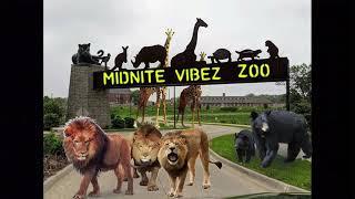 Midnite Vibez - ZOO (Prod. stupidboy)